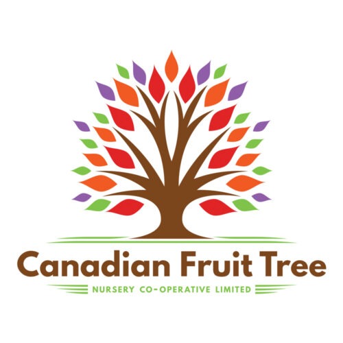 Canadian Fruit Tree Logo