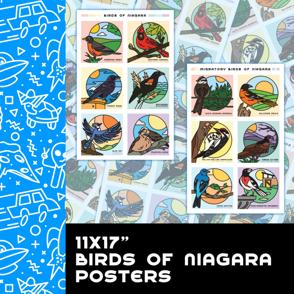 11×17″ Birds of Niagara Posters