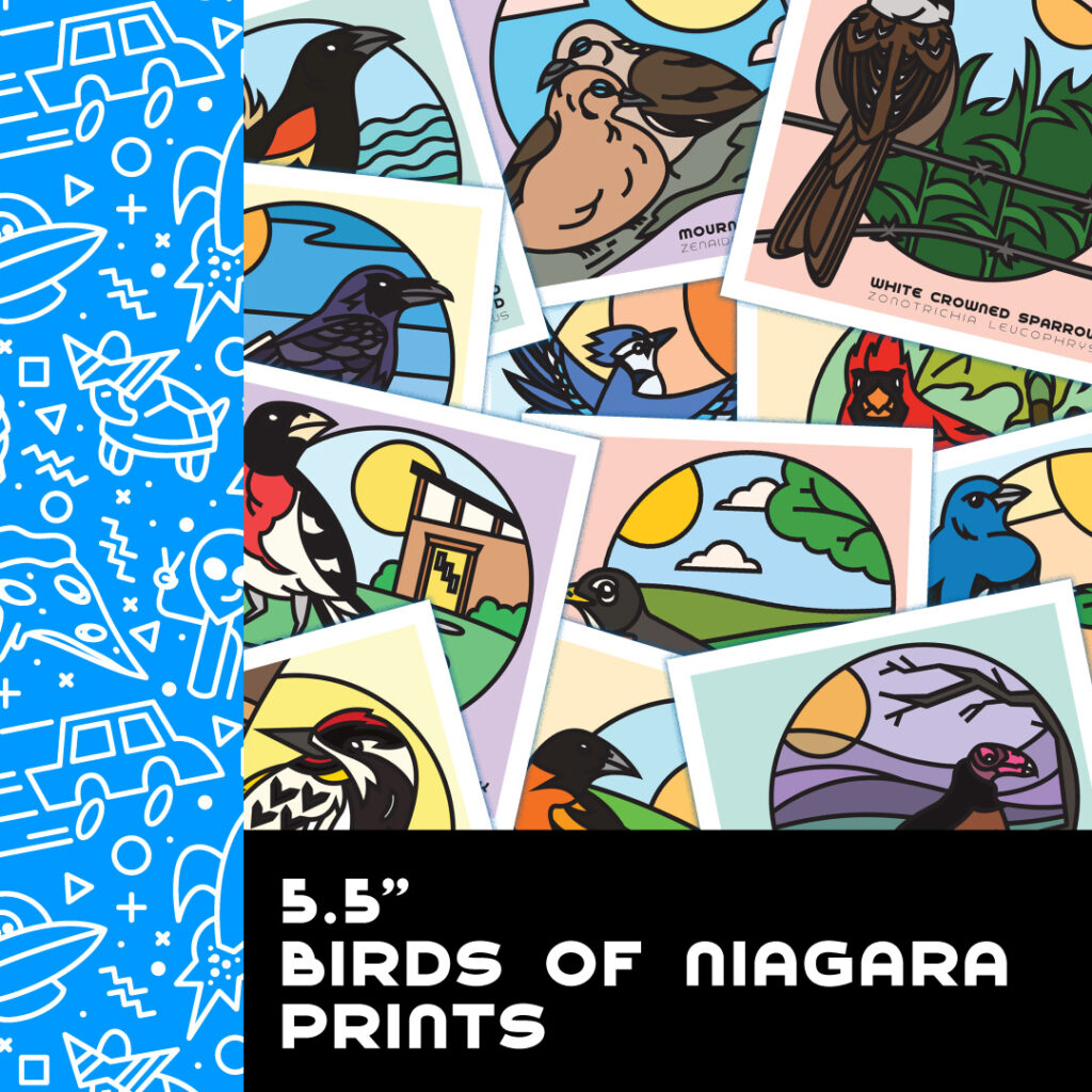 5.5″ Birds of Niagara Prints