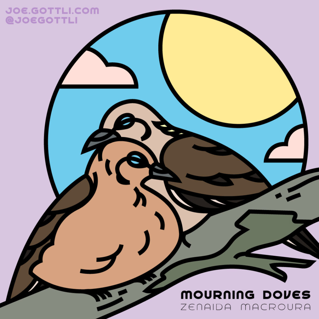 Mourning Doves